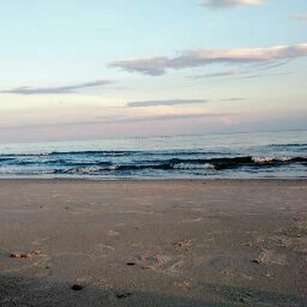 Meet your Posher, Serenity